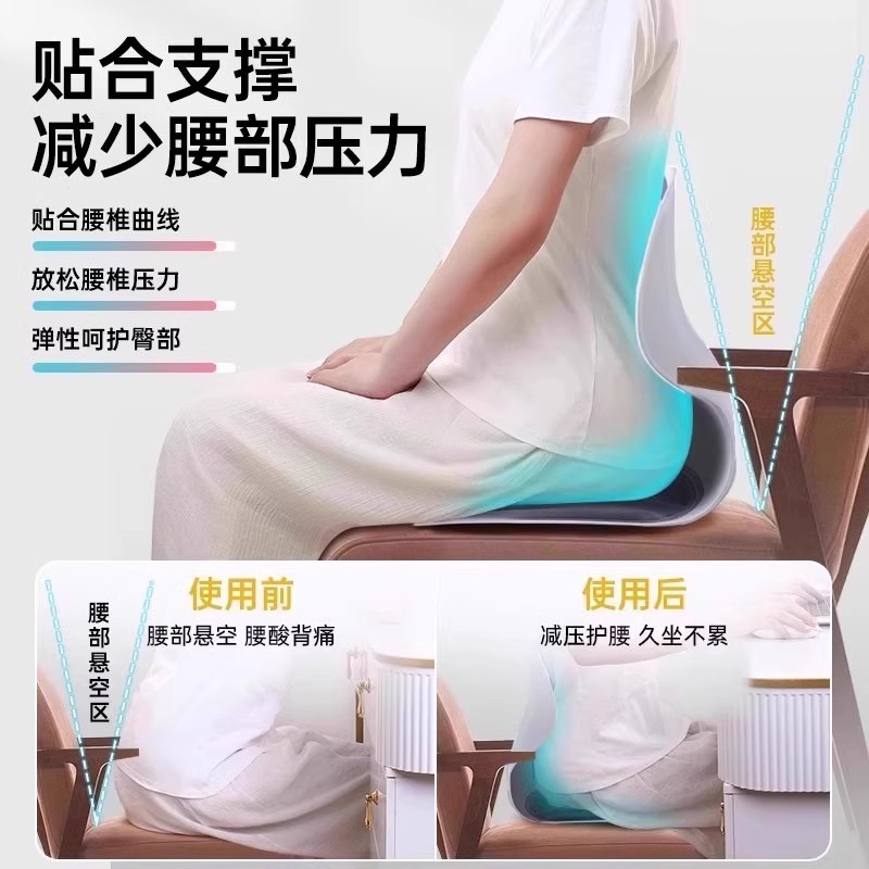 Bantal Penyangga Pinggang Ergo - Office Chair Cushion ulasan dan harga